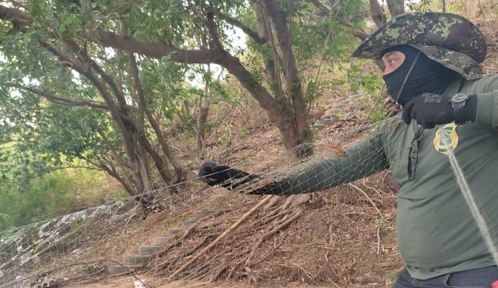 Operação Malha Fina do Naturatins apreende cerca de 2,8 mil metros de redes de pesca nos rios Tocantins e Araguaia