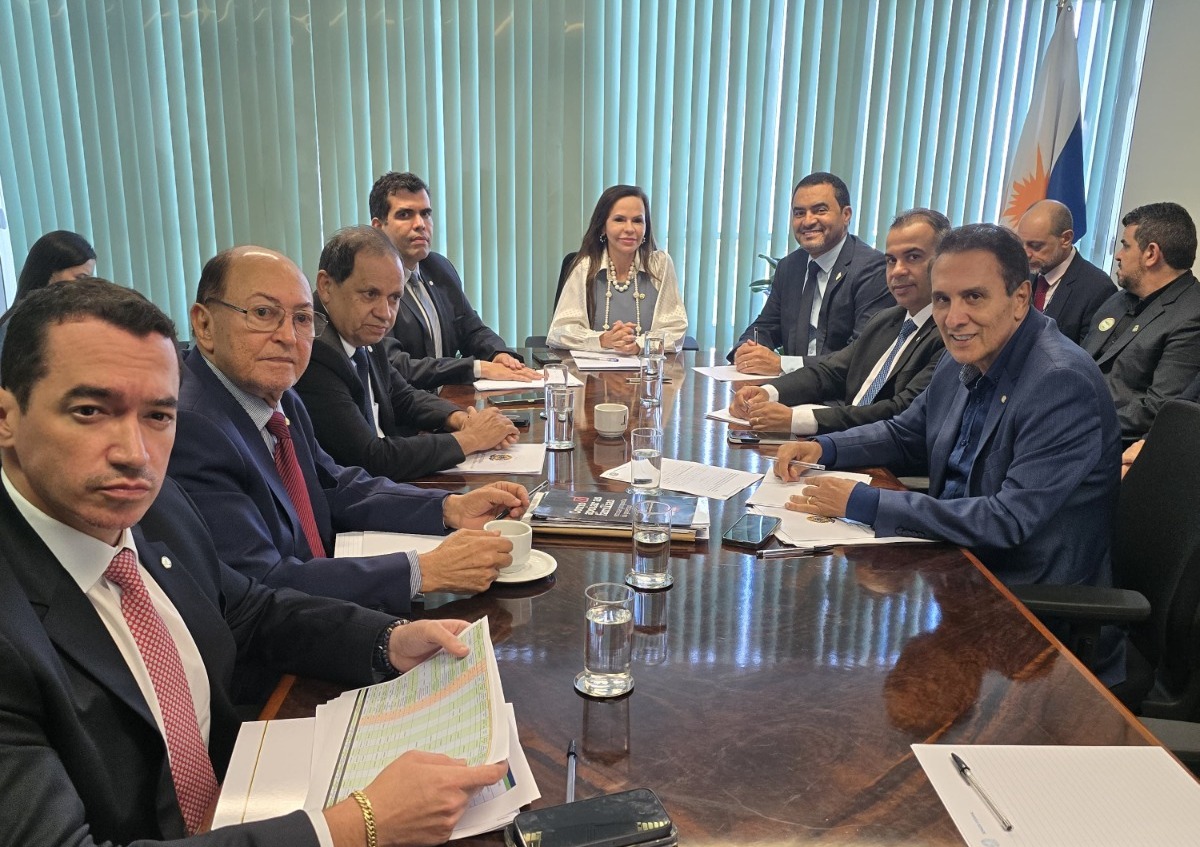 Liderada pela Senadora Dorinha, reunião da bancada federal define prioridades para o Tocantins em 2025